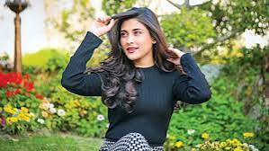 বাধার মুখে শো-রুম উদ্বোধন করতে পারলেন না মেহজাবীন